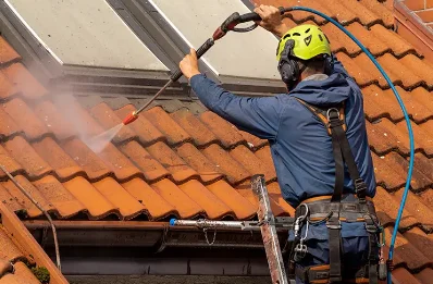 Démoussage et hydrofuge de toiture à Pouançay